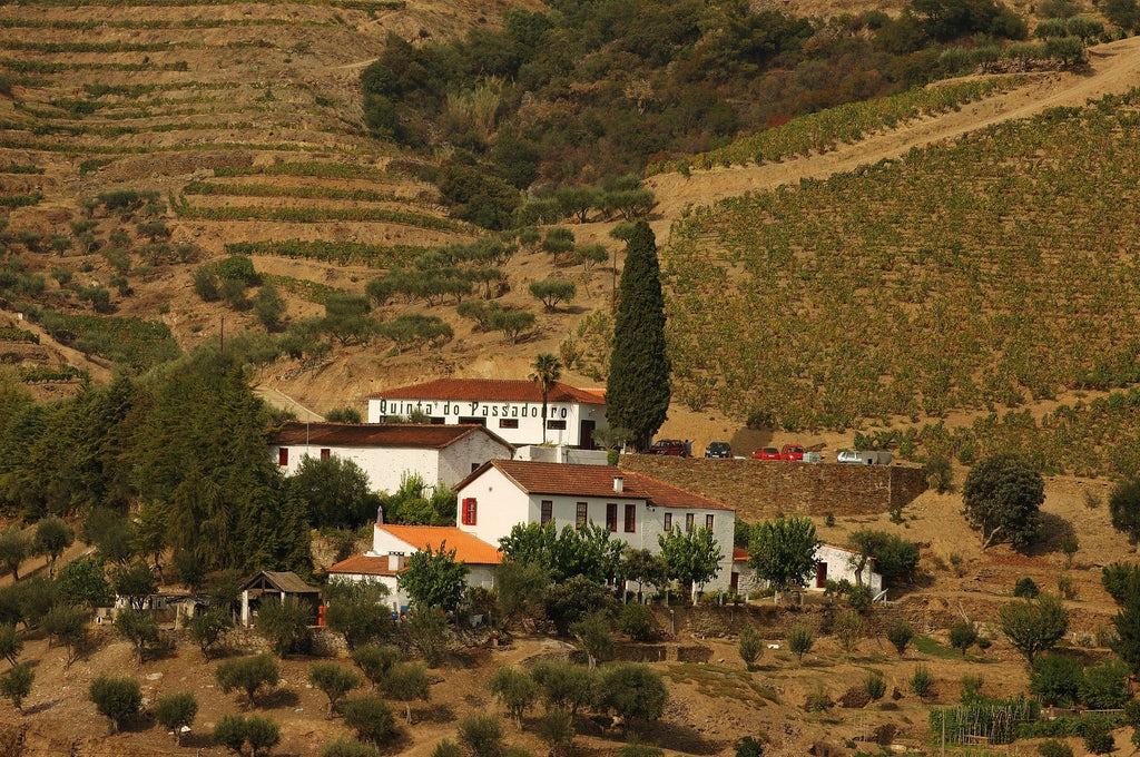 Quinta do Passadouro - Einzigartiges Douro-Terroir